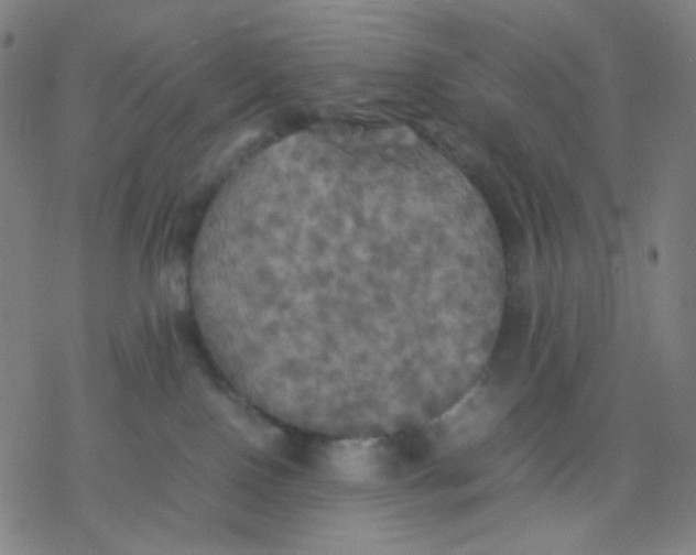 X0000077330090200611101534