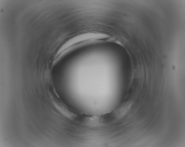 X0000077330092200611101534