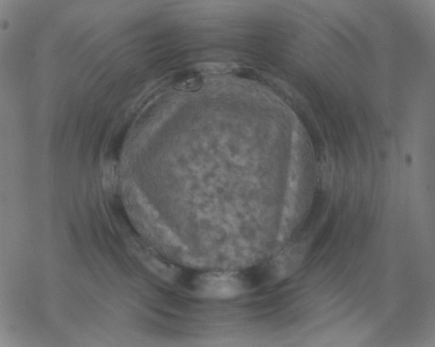 X0000077330093200611101534