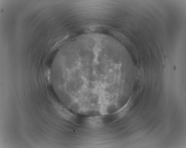 X0000077330094200611101534