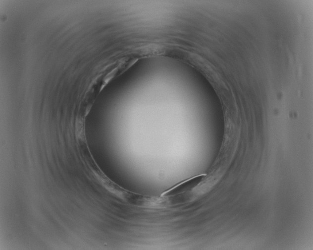 X0000077330096200611101535