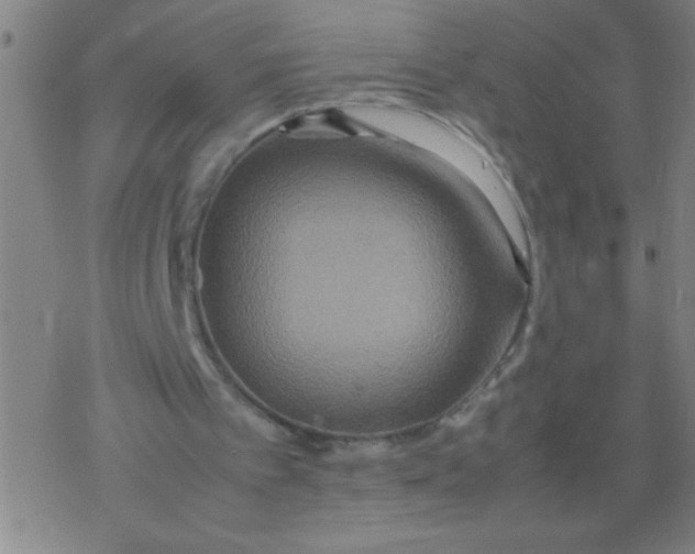 X0000077330097200611101534