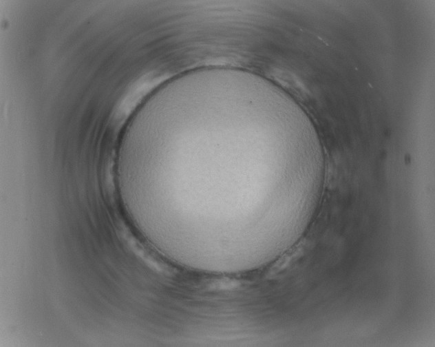 X0000077330098200611101534