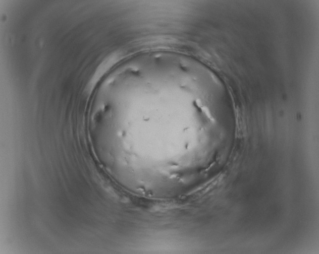 X0000077330099200611101534