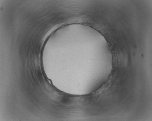 X0000077330100200611101534