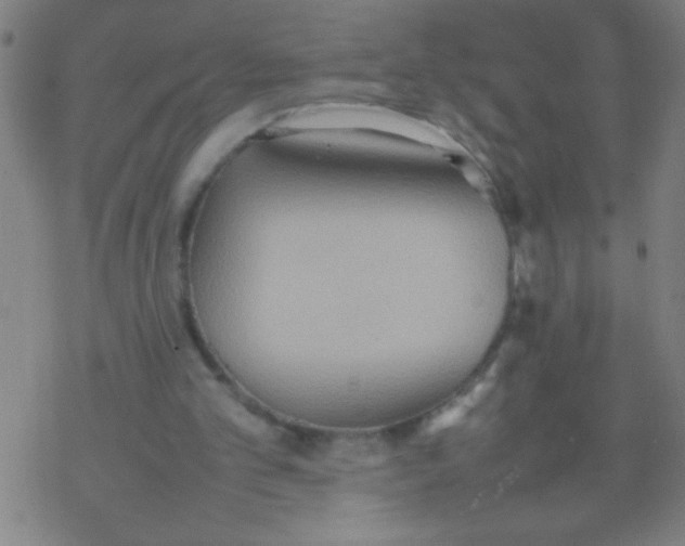 X0000077330101200611101534