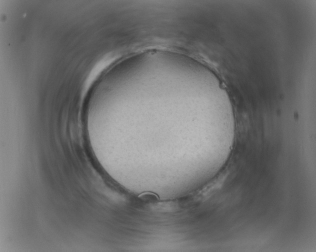 X0000077330102200611101534