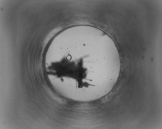 X0000077330104200611101534