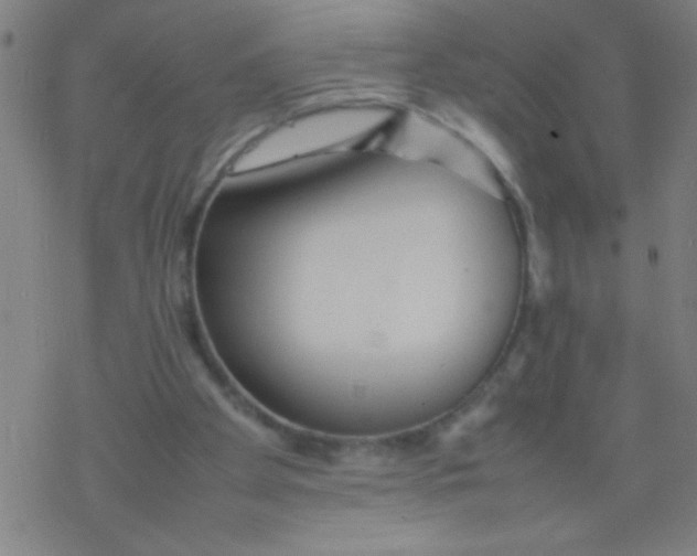 X0000077330105200611101534