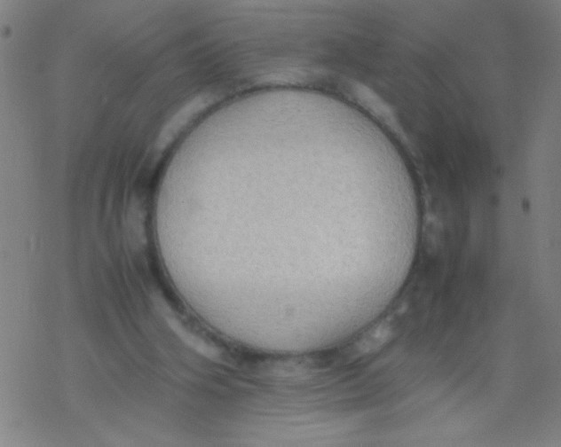 X0000077330106200611101534