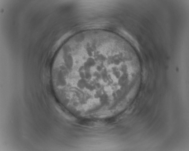 X0000077330107200611101534