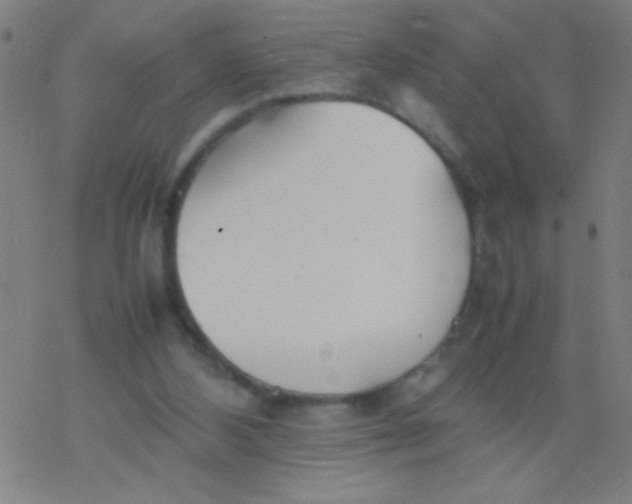 X0000077330108200611101534