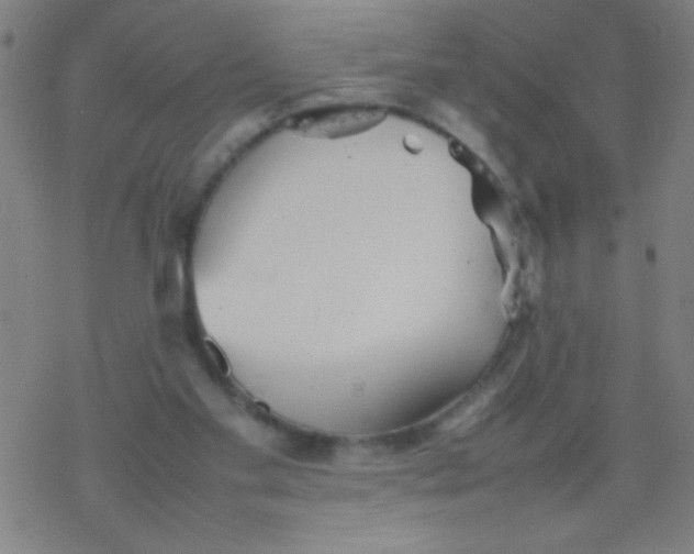 X0000077330109200611101534