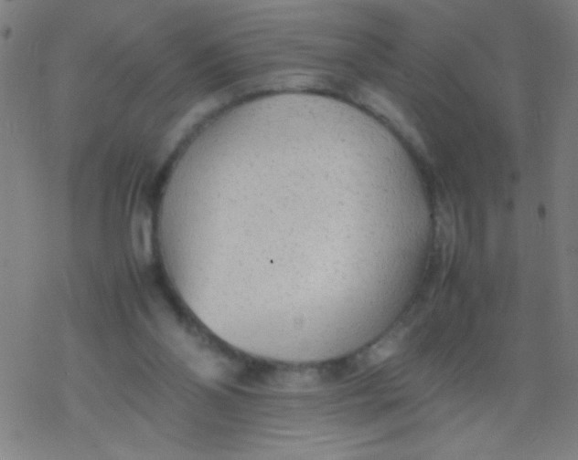 X0000077330110200611101534