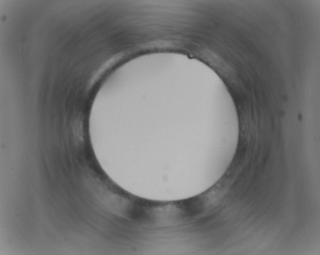 X0000077330112200611101533