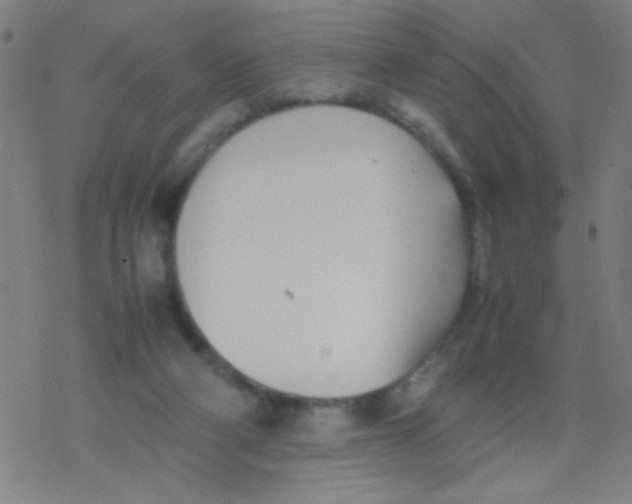 X0000077330114200611101533