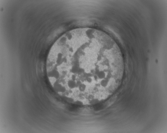 X0000077330115200611101533