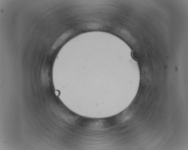 X0000077330116200611101533