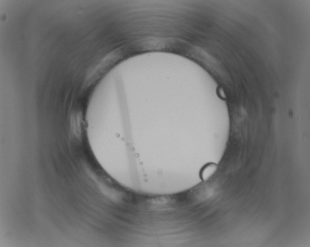 X0000077330118200611101533