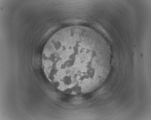 X0000077330119200611101533