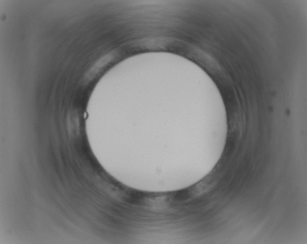 X0000077330120200611101533