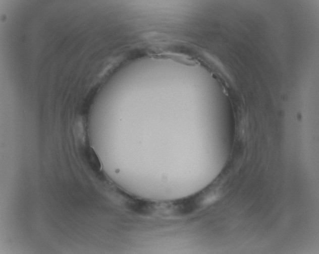 X0000077330121200611101533