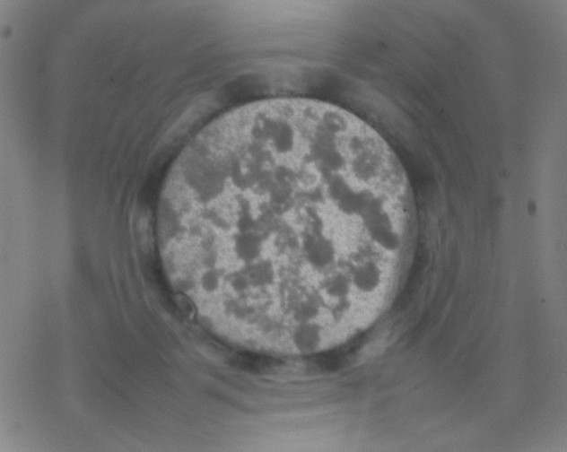 X0000077330123200611101533