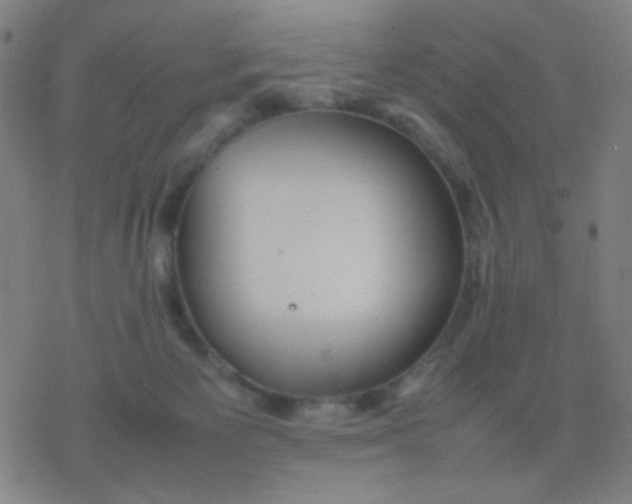 X0000077330125200611101533