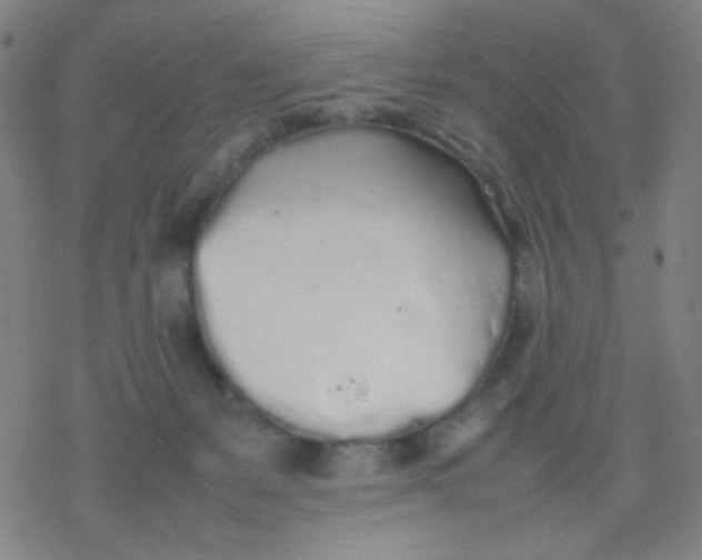 X0000077330127200611101533