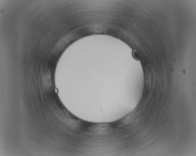 X0000077330128200611101533