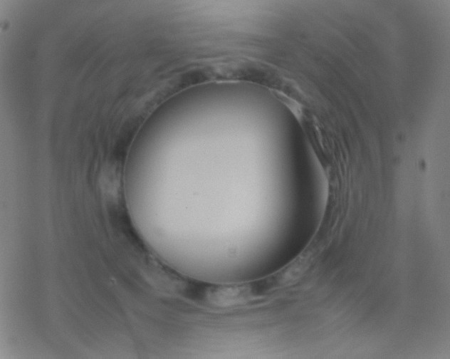 X0000077330129200611101533