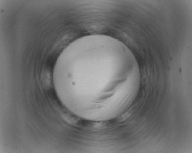 X0000077330130200611101533