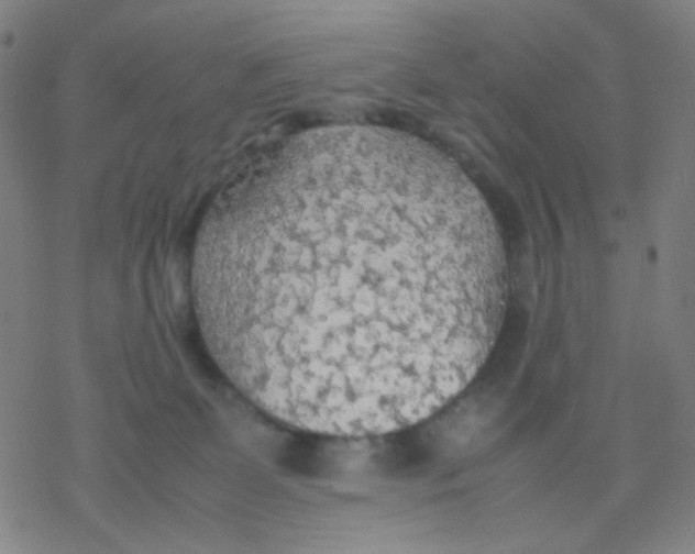 X0000077330131200611101533