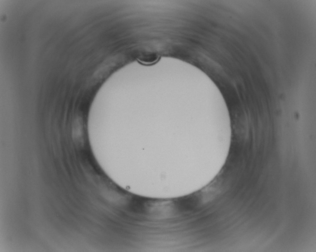 X0000077330132200611101533