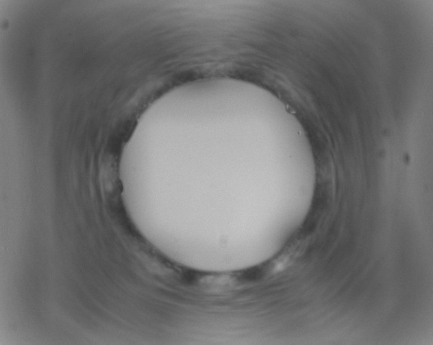 X0000077330133200611101533