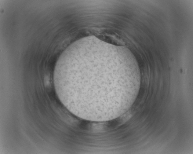 X0000077330134200611101533