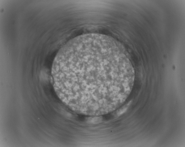 X0000077330135200611101533