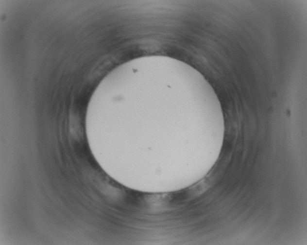 X0000077330136200611101533