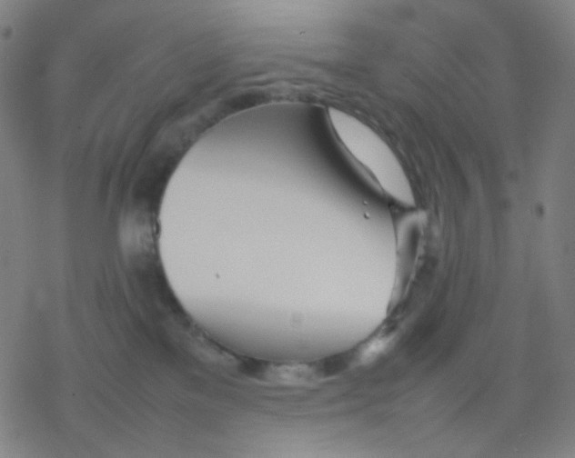 X0000077330137200611101533