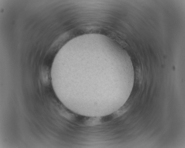 X0000077330138200611101533