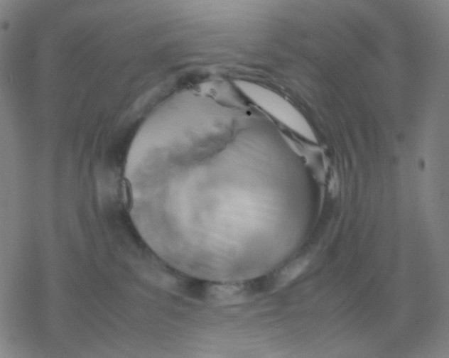 X0000077330139200611101533