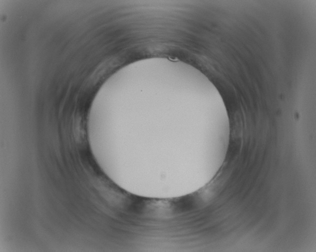 X0000077330140200611101533