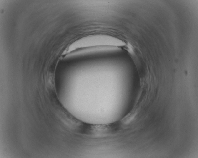 X0000077330141200611101533