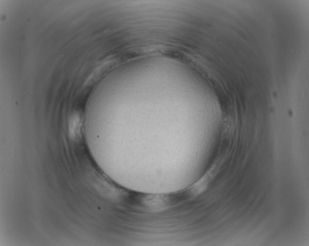 X0000077330142200611101533