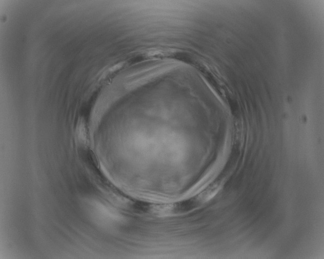 X0000077330143200611101533