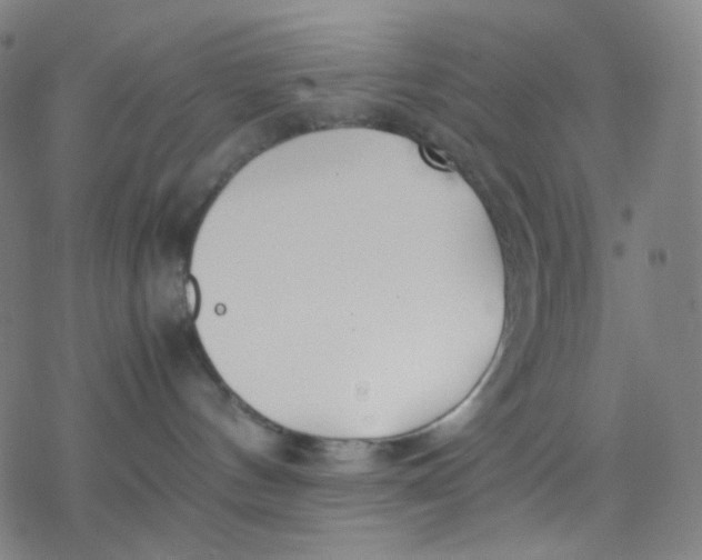 X0000077330144200611101533