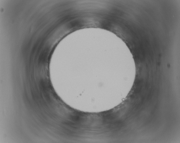 X0000077330146200611101532