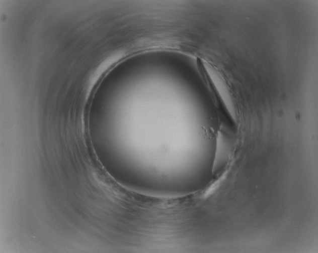 X0000077330148200611101532