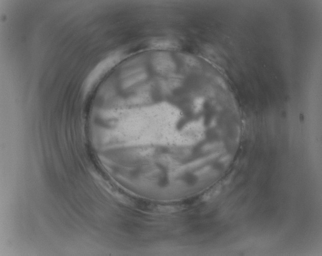 X0000077330149200611101532