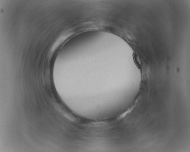 X0000077330150200611101532